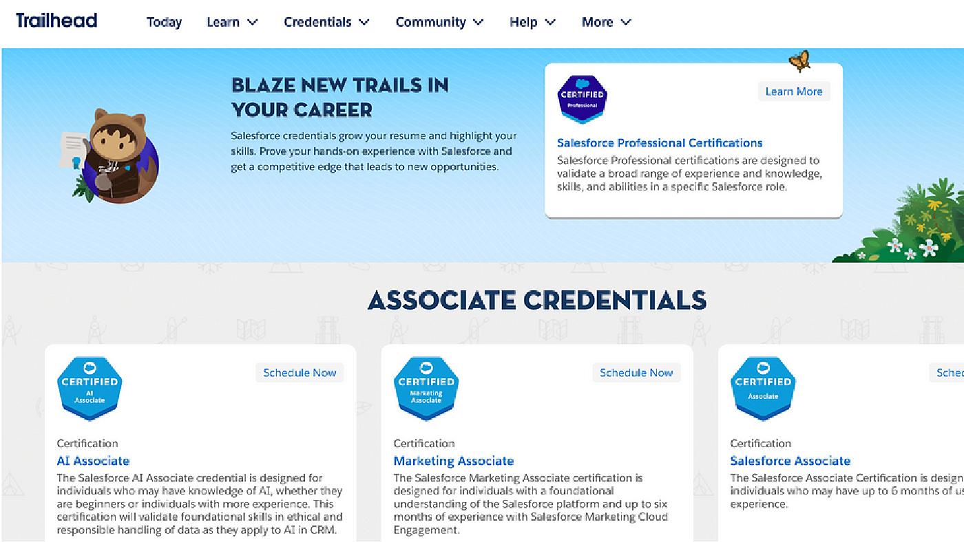 Salesforce Certifications for New Trailblazers: AI, Marketing, and Salesforce Associates Certs