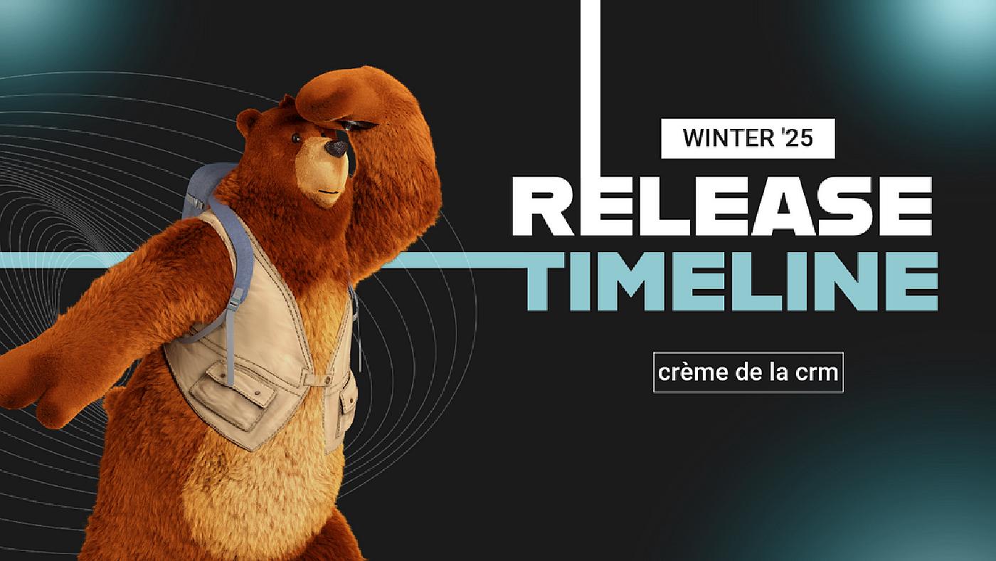 Winter ’25 Release Timeline