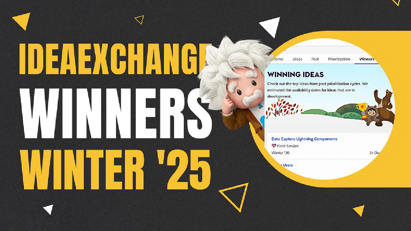 Winter ’25 Release Highlights: IdeaExchange Winners